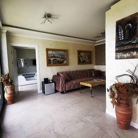 Lux Vila Aleksandar Sremska Kamenica Dış mekan fotoğraf