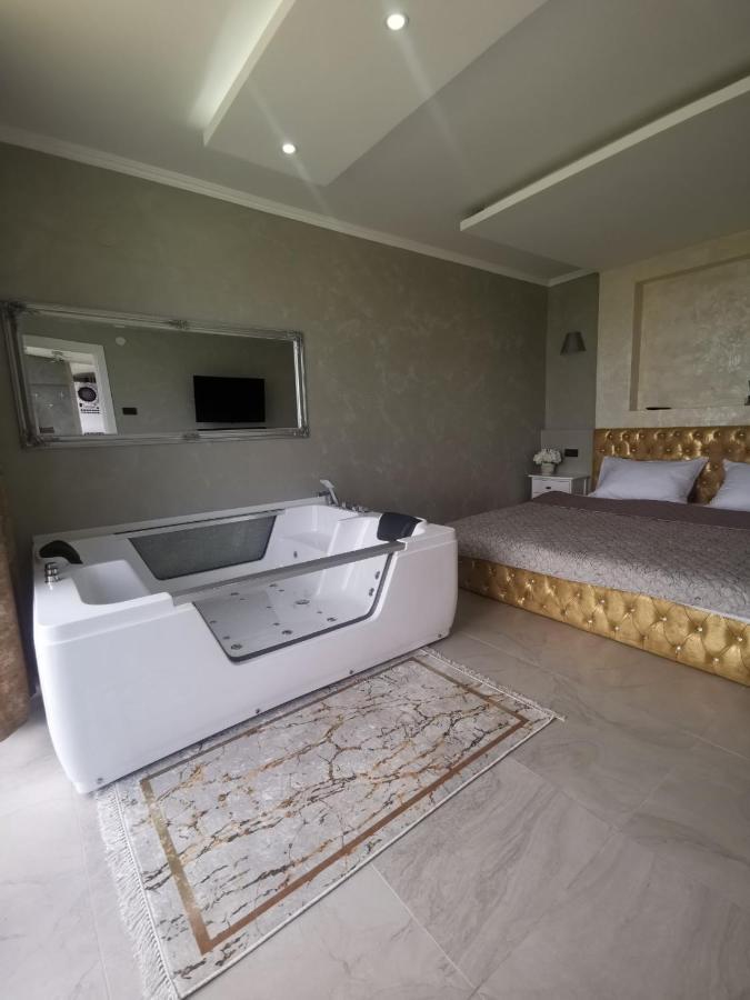Lux Vila Aleksandar Sremska Kamenica Dış mekan fotoğraf